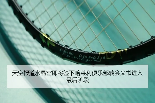 天空报道水晶宫即将签下哈莱利俱乐部转会文书进入最后阶段